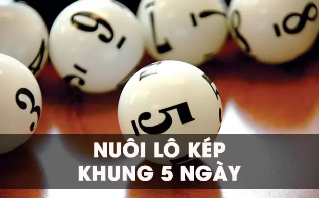 lô kép nuôi khung 5 ngày