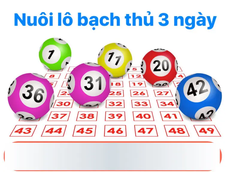 Nuôi <strong>bạch thủ lô khung 3 ngày</strong>
