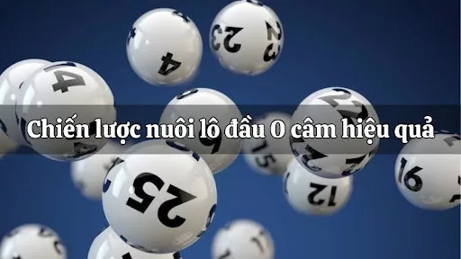 Chiến lược nuôi lô đầu 0 câm hiệu quả