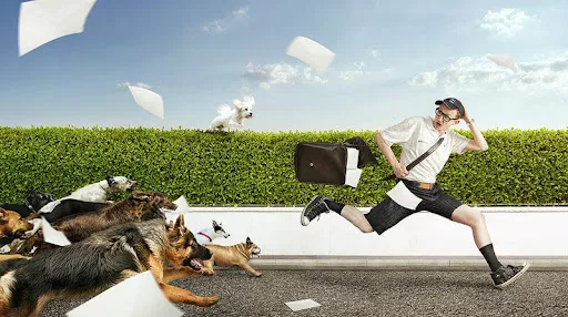 Nằm mơ bị chó cắn là điềm gì? Giải mã giấc mơ và con số phát tài