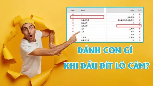 Thống kê tỷ lệ trúng lô câm đầu 0